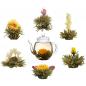 Preview: Teeblume weißer Tee - Glückstee